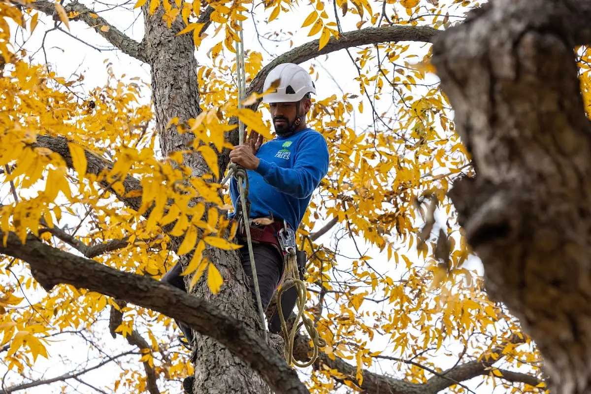 Skilled Storm Damage Cleanup crew working in Montezuma